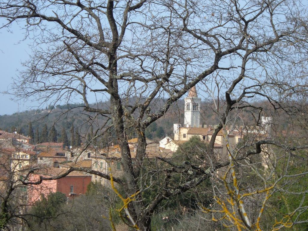 Casa Titty Serre Di Rapolano Quarto foto
